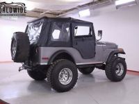 Jeep CJ5 - <small></small> 25.500 € <small>TTC</small> - #6