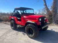 Jeep CJ5  - <small></small> 15.800 € <small>TTC</small> - #1