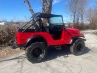 Jeep CJ5  - <small></small> 15.800 € <small>TTC</small> - #3