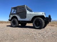 Jeep CJ5  - <small></small> 15.300 € <small>TTC</small> - #11