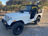 Jeep CJ5  - <small></small> 24.200 € <small>TTC</small> - #1