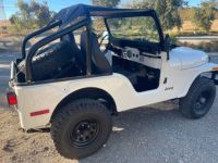 Jeep CJ5  - <small></small> 24.200 € <small>TTC</small> - #6