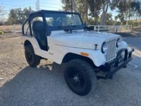 Jeep CJ5  - <small></small> 24.200 € <small>TTC</small> - #7