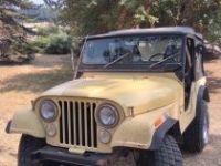 Jeep CJ5 CJ  - <small></small> 21.000 € <small>TTC</small> - #2