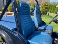 Jeep CJ5 CJ  - <small></small> 25.000 € <small>TTC</small> - #12