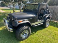 Jeep CJ5 CJ  - <small></small> 20.000 € <small>TTC</small> - #1