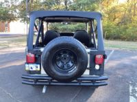 Jeep CJ5 CJ  - <small></small> 29.000 € <small>TTC</small> - #8