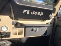 Jeep CJ5 CJ  - <small></small> 29.000 € <small>TTC</small> - #29