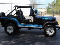 Jeep CJ5 CJ  - <small></small> 37.000 € <small>TTC</small> - #10