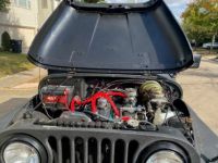 Jeep CJ5 CJ  - <small></small> 47.000 € <small>TTC</small> - #14