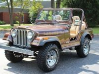 Jeep CJ5 CJ  - <small></small> 37.000 € <small>TTC</small> - #3