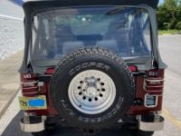 Jeep CJ5 CJ  - <small></small> 23.000 € <small>TTC</small> - #4