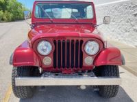 Jeep CJ5 CJ  - <small></small> 23.000 € <small>TTC</small> - #6