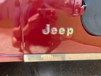 Jeep CJ5 CJ  - <small></small> 23.000 € <small>TTC</small> - #24