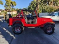 Jeep CJ5 CJ  - <small></small> 43.000 € <small>TTC</small> - #31