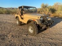 Jeep CJ5 CJ  - <small></small> 18.000 € <small>TTC</small> - #14