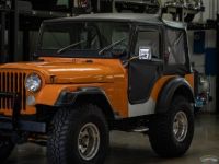 Jeep CJ5 CJ  - <small></small> 27.000 € <small>TTC</small> - #9