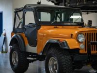 Jeep CJ5 CJ  - <small></small> 27.000 € <small>TTC</small> - #11