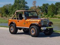 Jeep CJ5 CJ  - <small></small> 51.000 € <small>TTC</small> - #9