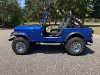 Jeep CJ5 CJ  - <small></small> 32.000 € <small>TTC</small> - #2