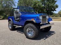 Jeep CJ5 CJ  - <small></small> 32.000 € <small>TTC</small> - #10