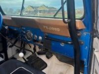 Jeep CJ5 CJ  - <small></small> 22.000 € <small>TTC</small> - #14