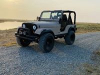 Jeep CJ5 CJ  - <small></small> 19.000 € <small>TTC</small> - #1