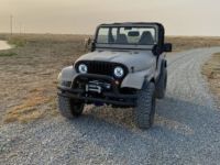 Jeep CJ5 CJ  - <small></small> 19.000 € <small>TTC</small> - #2