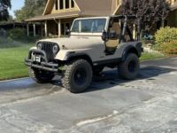 Jeep CJ5 CJ  - <small></small> 19.000 € <small>TTC</small> - #12