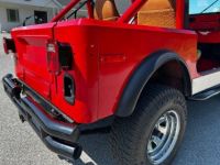 Jeep CJ5 CJ  - <small></small> 23.000 € <small>TTC</small> - #29