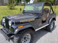 Jeep CJ5 CJ  - <small></small> 17.900 € <small>TTC</small> - #4