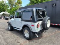 Jeep CJ5 CJ  - <small></small> 17.200 € <small>TTC</small> - #18