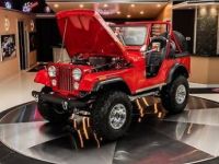 Jeep CJ5 CJ  - <small></small> 90.300 € <small>TTC</small> - #8