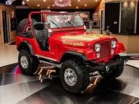 Jeep CJ5 CJ  - <small></small> 90.300 € <small>TTC</small> - #11