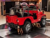 Jeep CJ5 CJ  - <small></small> 74.600 € <small>TTC</small> - #14