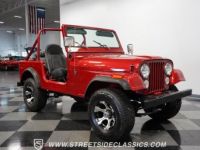 Jeep CJ5 CJ  - <small></small> 38.100 € <small>TTC</small> - #17