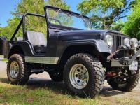 Jeep CJ5 Cj 5  - <small></small> 18.000 € <small>TTC</small> - #10