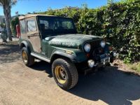 Jeep CJ5 Cj-5 golden eagle  - <small></small> 22.000 € <small>TTC</small> - #4