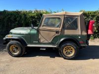 Jeep CJ5 Cj-5 golden eagle  - <small></small> 22.000 € <small>TTC</small> - #8