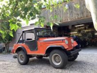 Jeep CJ5 renegade  - <small></small> 16.000 € <small>TTC</small> - #1