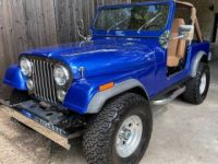 Jeep CJ7 - limited  - <small></small> 23.000 € <small>TTC</small> - #6