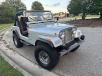 Jeep CJ7 - <small></small> 30.000 € <small>TTC</small> - #8