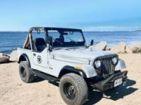 Jeep CJ7  - <small></small> 21.400 € <small>TTC</small> - #2