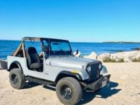 Jeep CJ7  - <small></small> 21.400 € <small>TTC</small> - #12