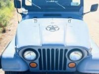 Jeep CJ7  - <small></small> 21.400 € <small>TTC</small> - #13