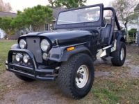 Jeep CJ7 Cj 7  - <small></small> 18.000 € <small>TTC</small> - #12