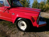 Jeep J-series J20 4X4 Pick Up  - <small></small> 28.000 € <small>TTC</small> - #26