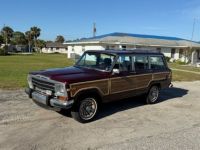 Jeep Wagoneer - <small></small> 24.500 € <small>TTC</small> - #9