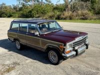 Jeep Wagoneer - <small></small> 24.500 € <small>TTC</small> - #10