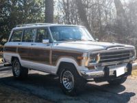 Jeep Wagoneer - <small></small> 43.400 € <small>TTC</small> - #12